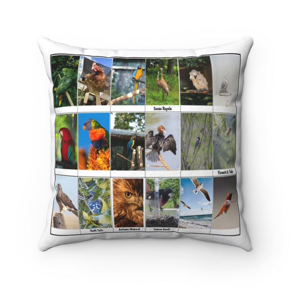 Striking Bird Photography (Version 1)