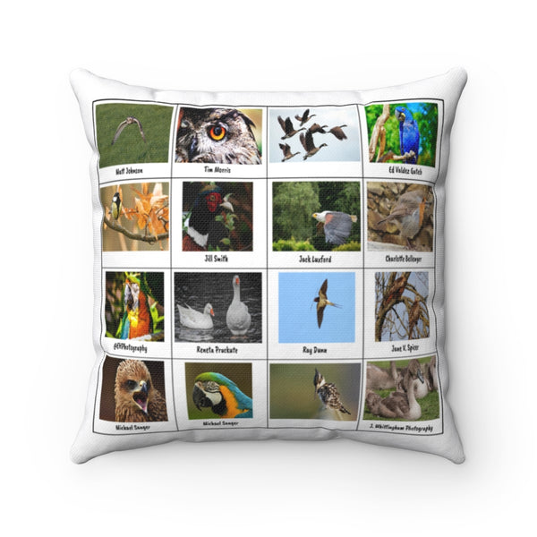 Excellent Bird Photography (Version 5)