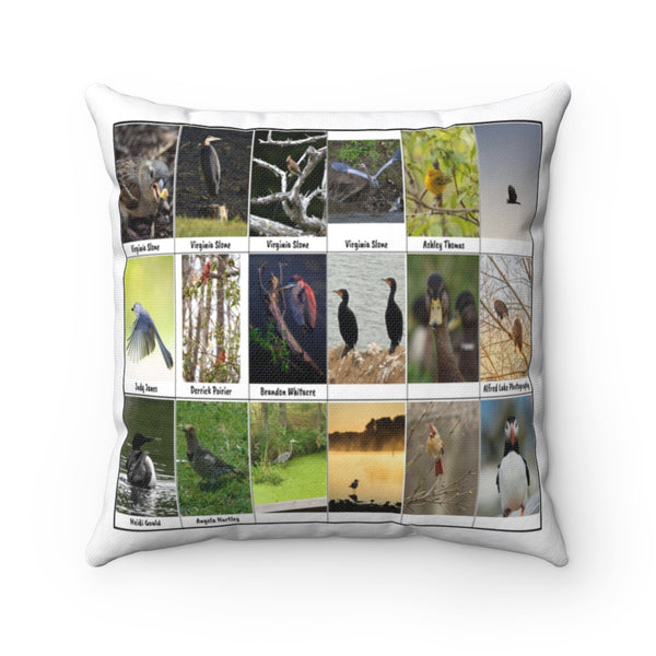 Striking Bird Photography (Version 7)
