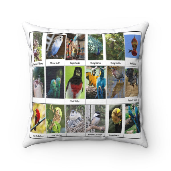 Special Bird Photography (Version 3)