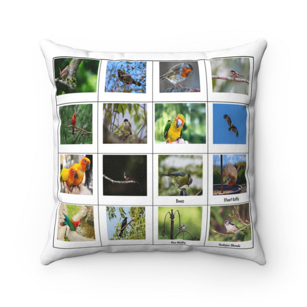 Delightful Bird Photography (Version 6)