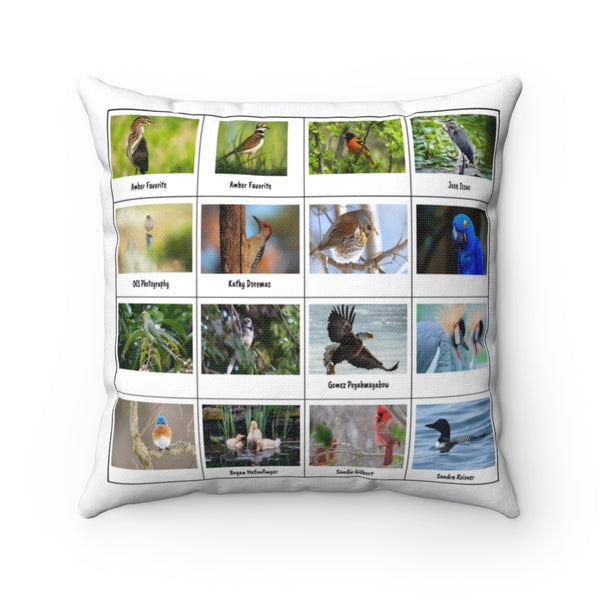 Beautiful Bird Photography (Version 8)