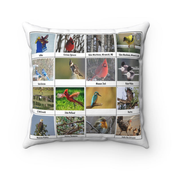 Ravishing Bird Photography (Version 7)