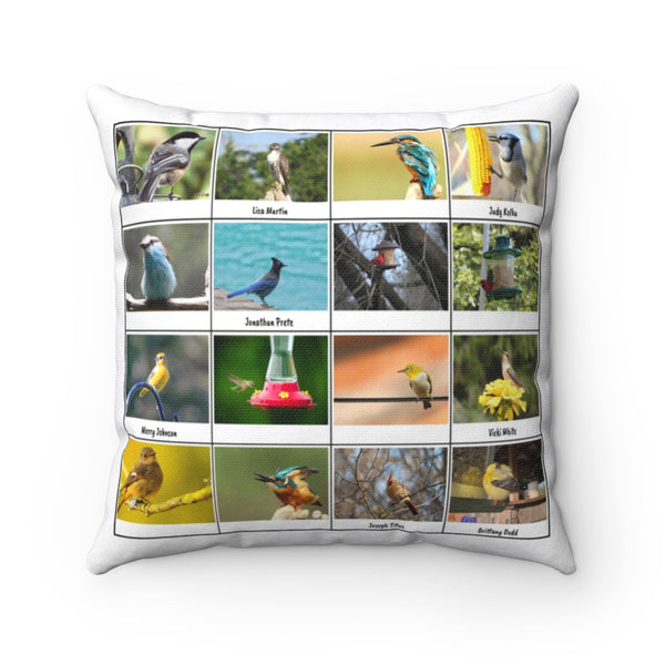 Astonishing Bird Photography (Version 2)