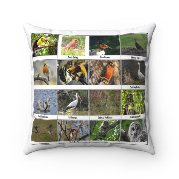 Terrific Bird Photography (Version 4)