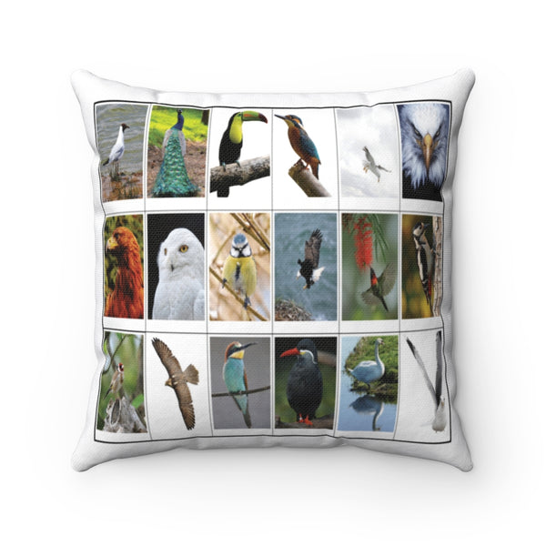 Astonishing Birds (Version 6)