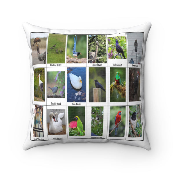 Awe-Inspiring Bird Photography (Version 2)