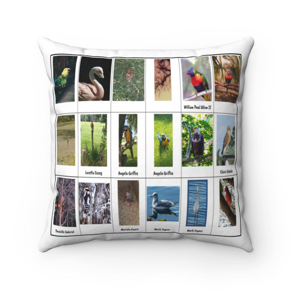 Dazzling Bird Photography (Version 6)