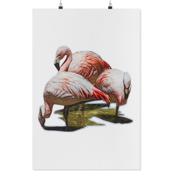 Flamingo Poster