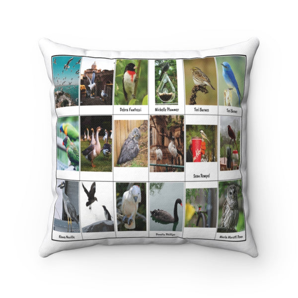 Special Bird Photography (Version 5)
