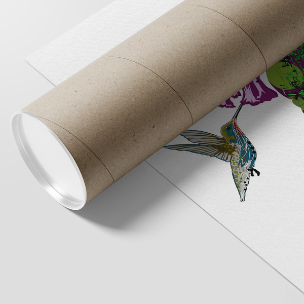 Hummingbird Poster