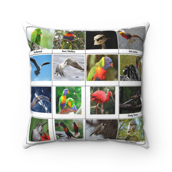Charming Bird Photography (Version 5)