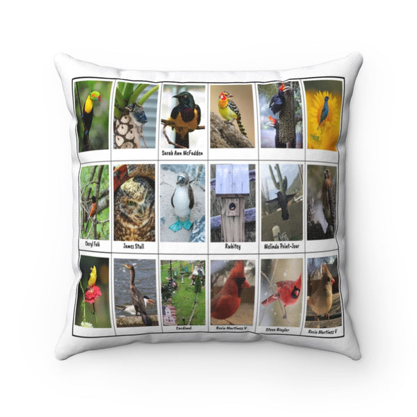 Outstanding Bird Photography (Version 5)
