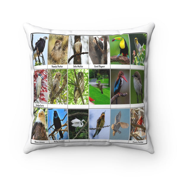 Amazing Bird Photography (Version 3)