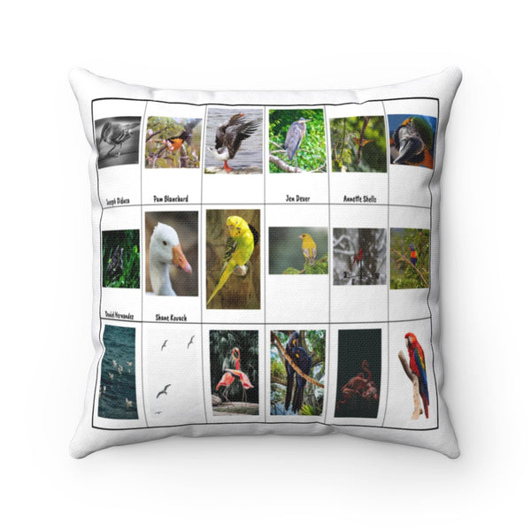 Impressive Bird Photography (Version 7)
