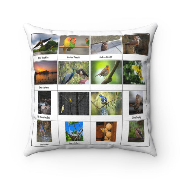 Sublime Bird Photography (Version 8)