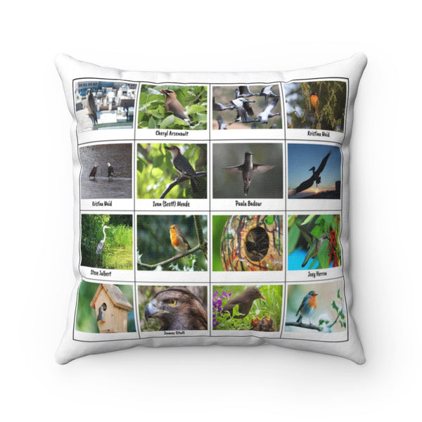 Outstanding Bird Photography (Version 4)