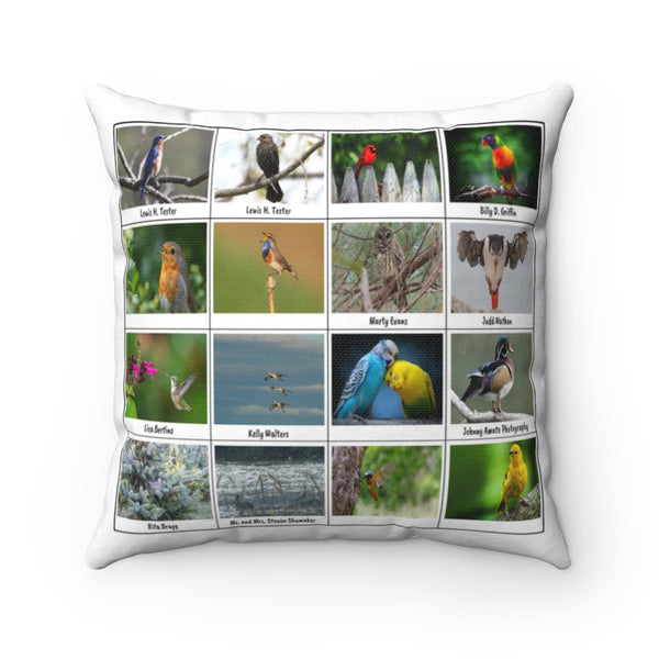 Extraordinary Birds (Version 4)