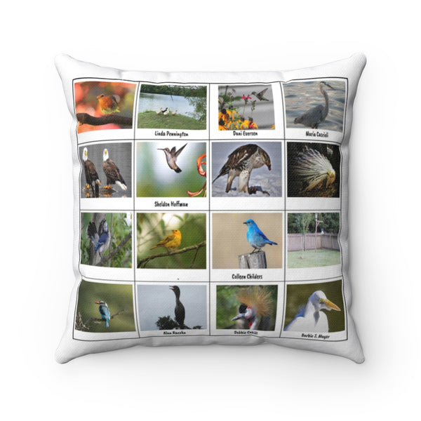 Extraordinary Bird Photography (Version 3)