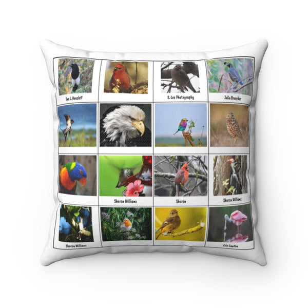 Brilliant Bird Photography (Version 2)