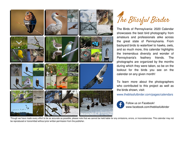 The Birds of Pennsylvania: 2020 Calendar