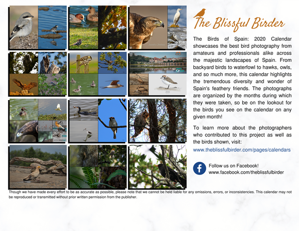The Birds of Spain: 2020 Calendar