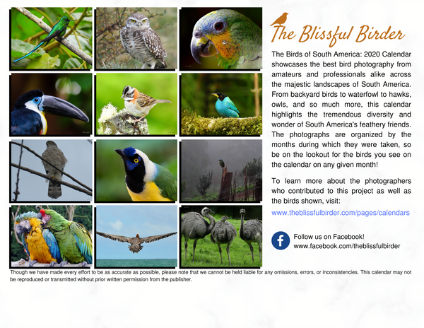 The Birds of South America: 2020 Calendar