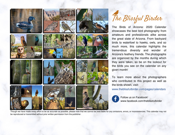 The Birds of Arizona: 2020 Calendar