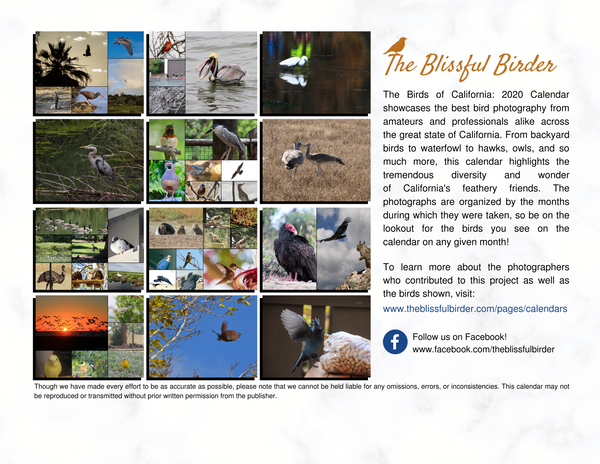 The Birds of California: 2020 Calendar