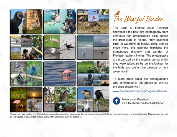 The Birds of Florida: 2020 Calendar