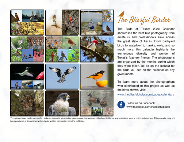 The Birds of Texas: 2020 Calendar