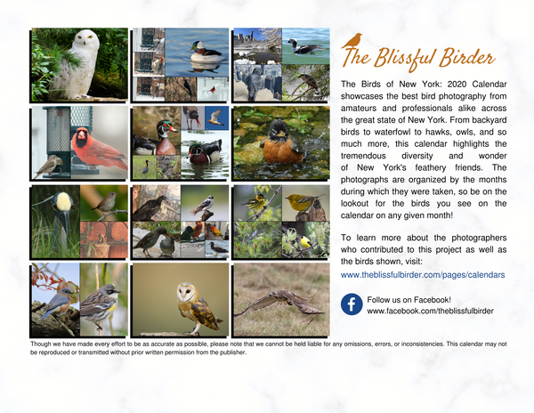 The Birds of New York: 2020 Calendar