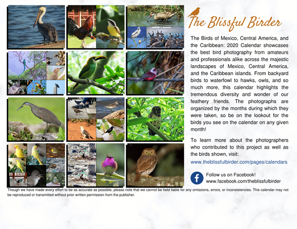 The Birds of Mexico, Central America, and the Caribbean: 2020 Calendar
