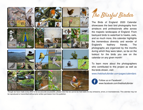 The Birds of England: 2020 Calendar