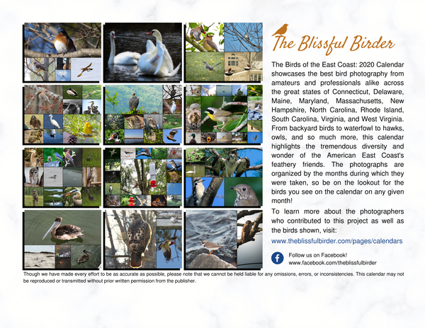The Birds of the East Coast: 2020 Calendar