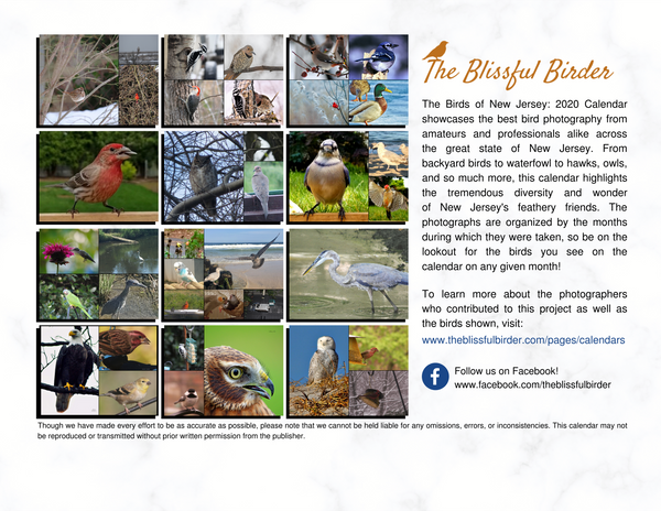 The Birds of New Jersey: 2020 Calendar
