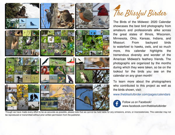 The Birds of the Midwest: 2020 Calendar