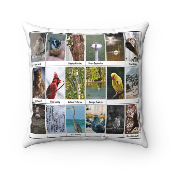 Brilliant Bird Photography (Version 1)