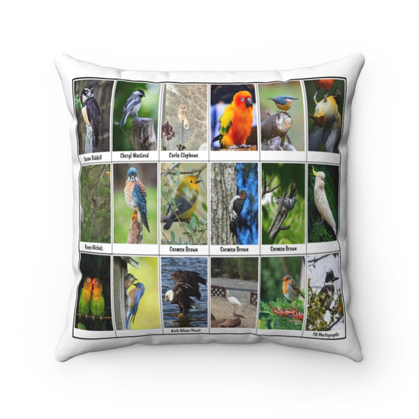 Great Bird Photography (Version 5)