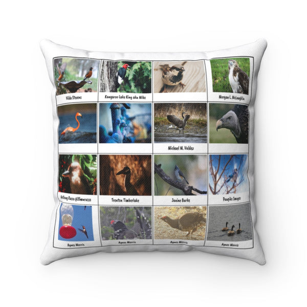 Brilliant Bird Photography (Version 7)