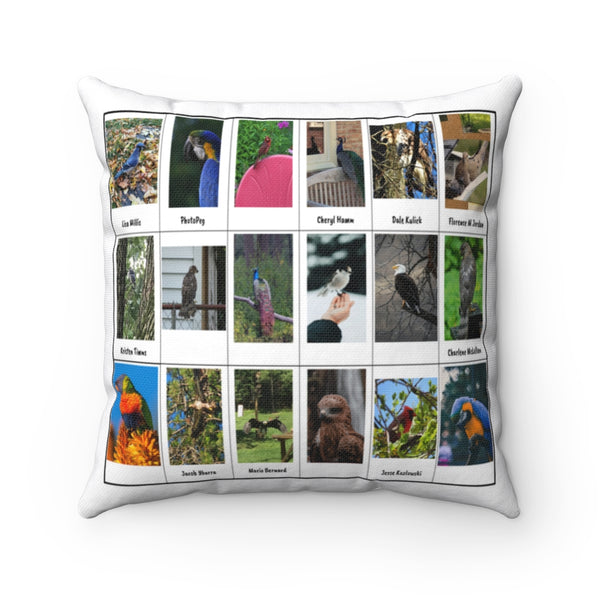 Dazzling Bird Photography (Version 3)