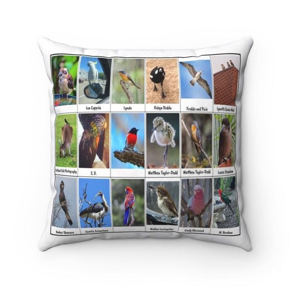 Amazing Birds (Version 2)