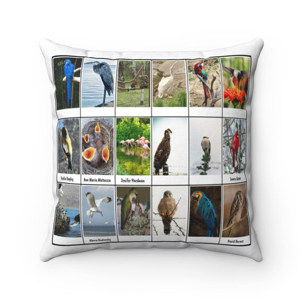 Astonishing Bird Photography (Version 4)