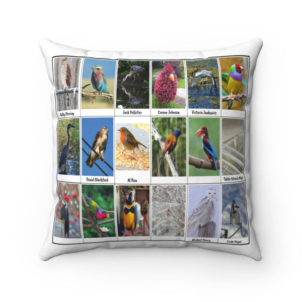 Sensational Bird Photography (Version 1)