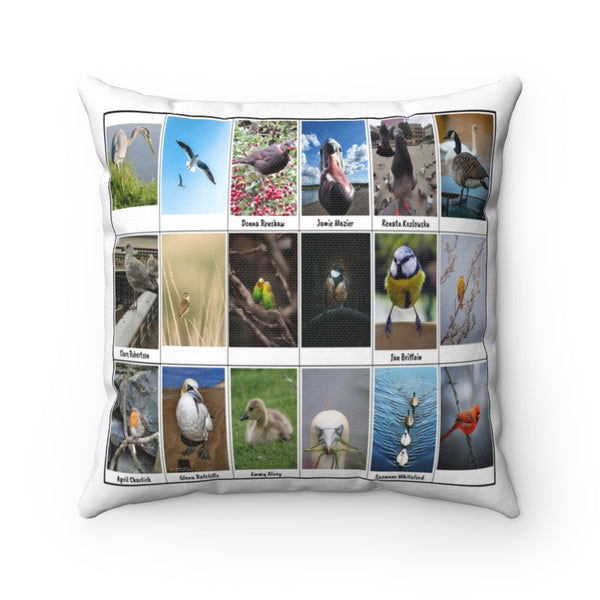 Fabulous Bird Photography (Version 5)