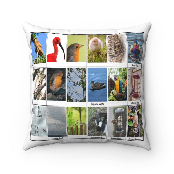 Fabulous Bird Photography (Version 6)
