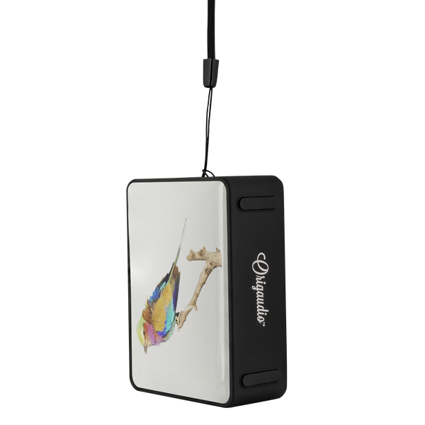 Lilac-breasted Roller Bluetooth Speaker Boxanne