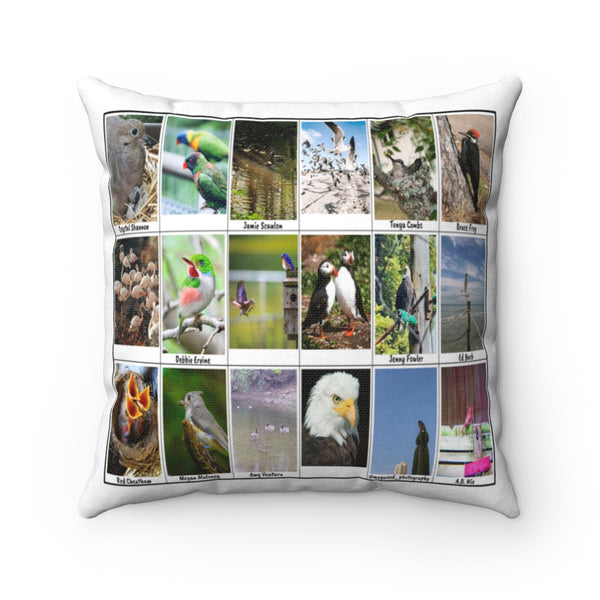 Splendid Bird Photography (Version 3)