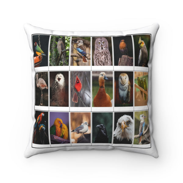Sensational Bird Photography (Version 8)