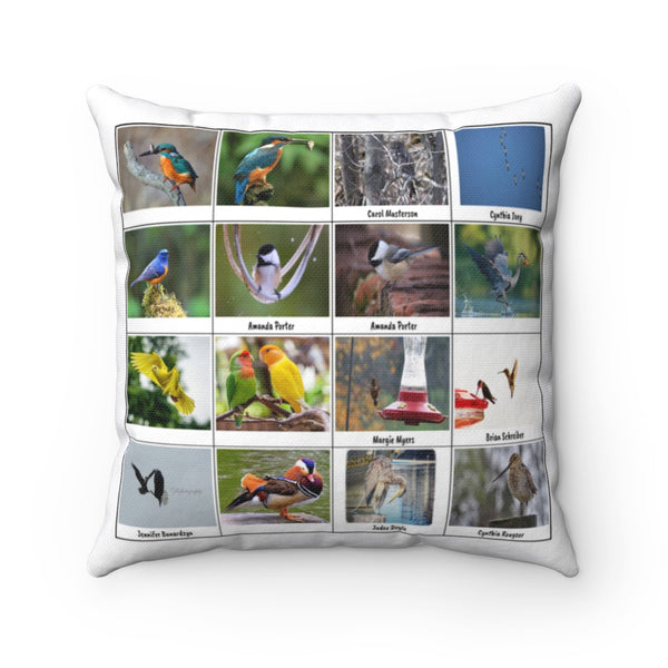 Sensational Bird Photography (Version 5)